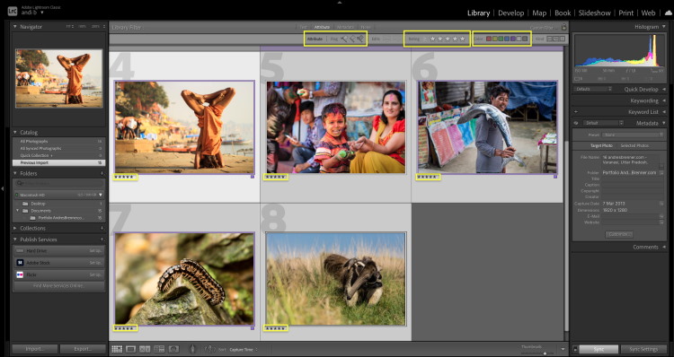 Image ranking and classification tools in Lightroom.